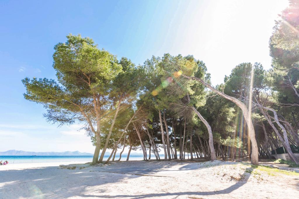 Pinya Villa Port de Alcudia  Dış mekan fotoğraf